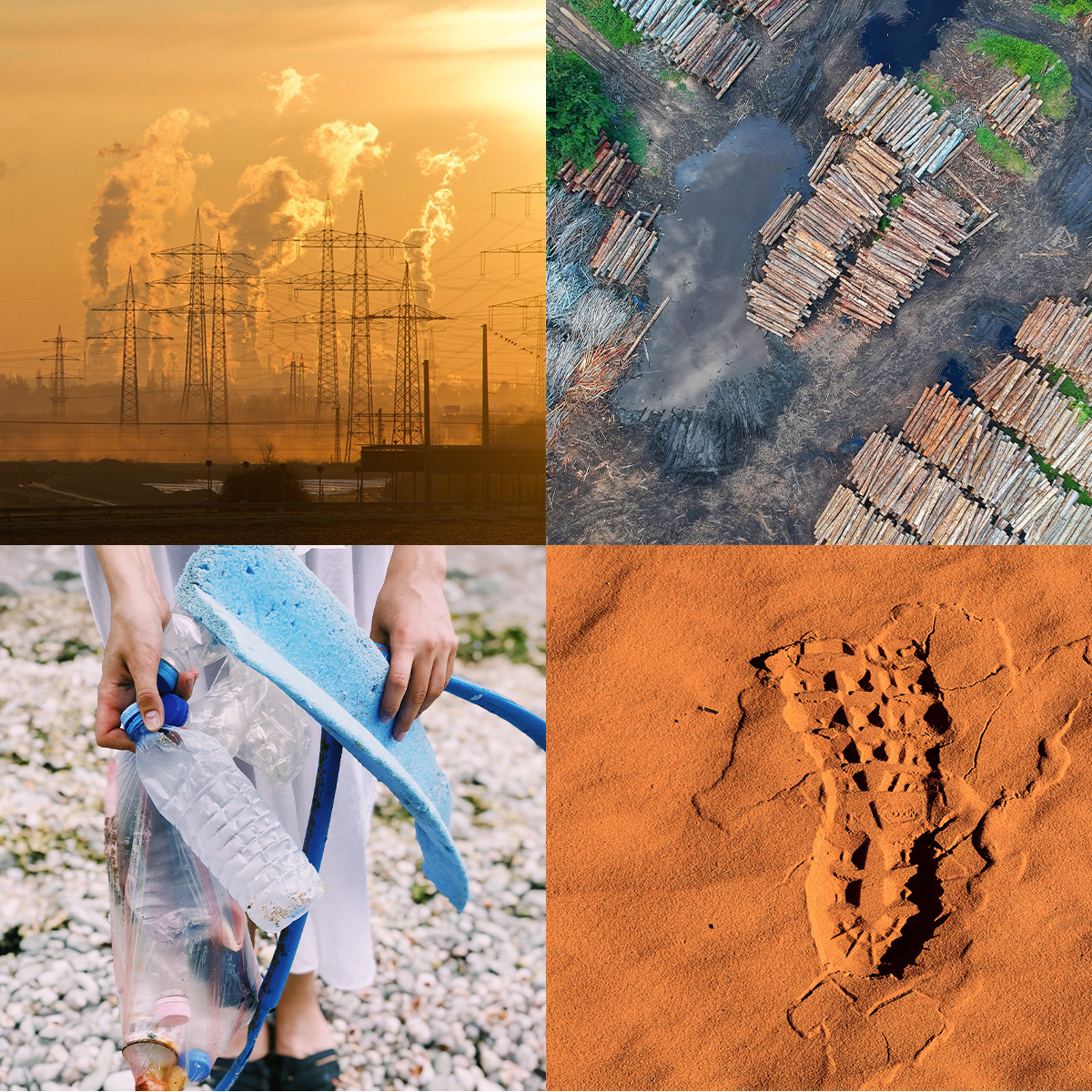 collage of images containing smoke stacks deforestation plastics footprint in sand