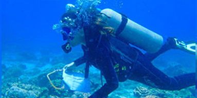 Diver with net in ocean taking samples