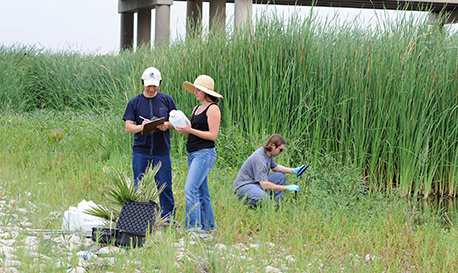 students-doing-research-in-wetlands