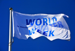 WorldWaterWeekFlag_Stockholm_296