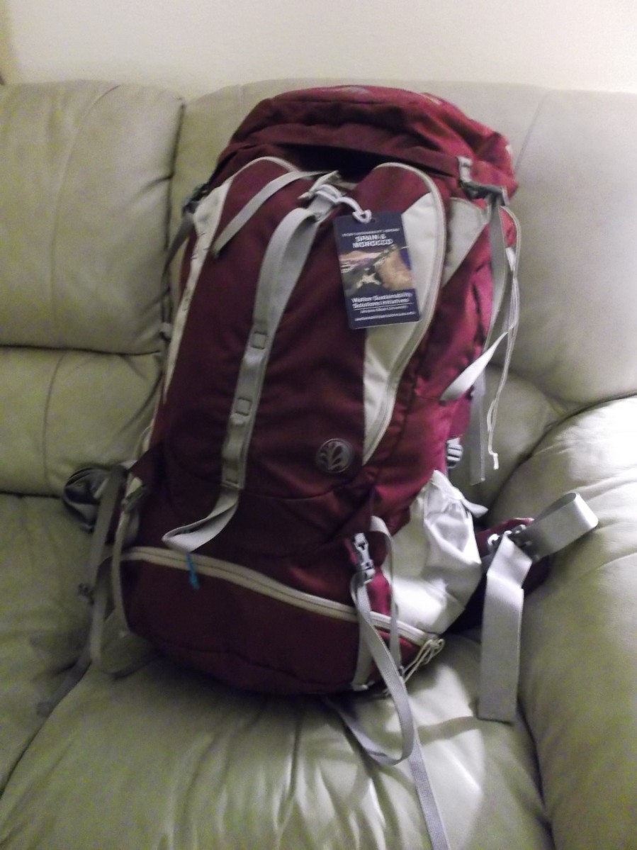 Ren-backpack