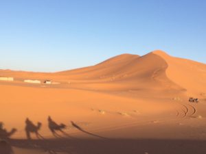 moroccan camel ride