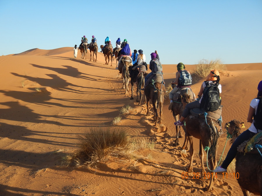 A camel ride through the Sahara.