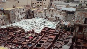 Leather baths in Fez