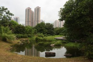 wetlands park