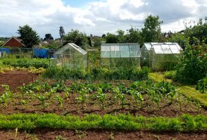 Applied Sustainability Research: Exeter Allotments