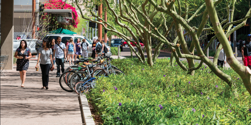 ASU students walking beneath tree-shaded area