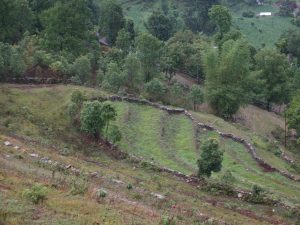 This is the land next to the agroforest in Nepal and what the agroforestry looked like before being developed into fruitful crops.